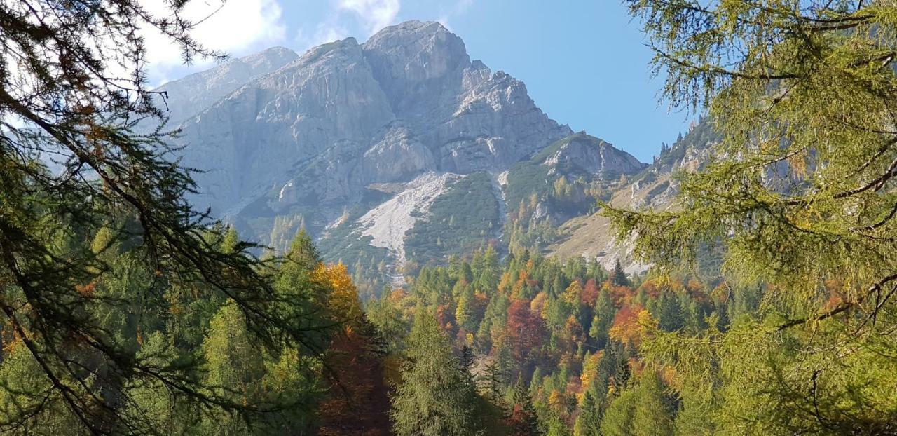 Yellow Apartma Kranjska Gora Lägenhet Exteriör bild