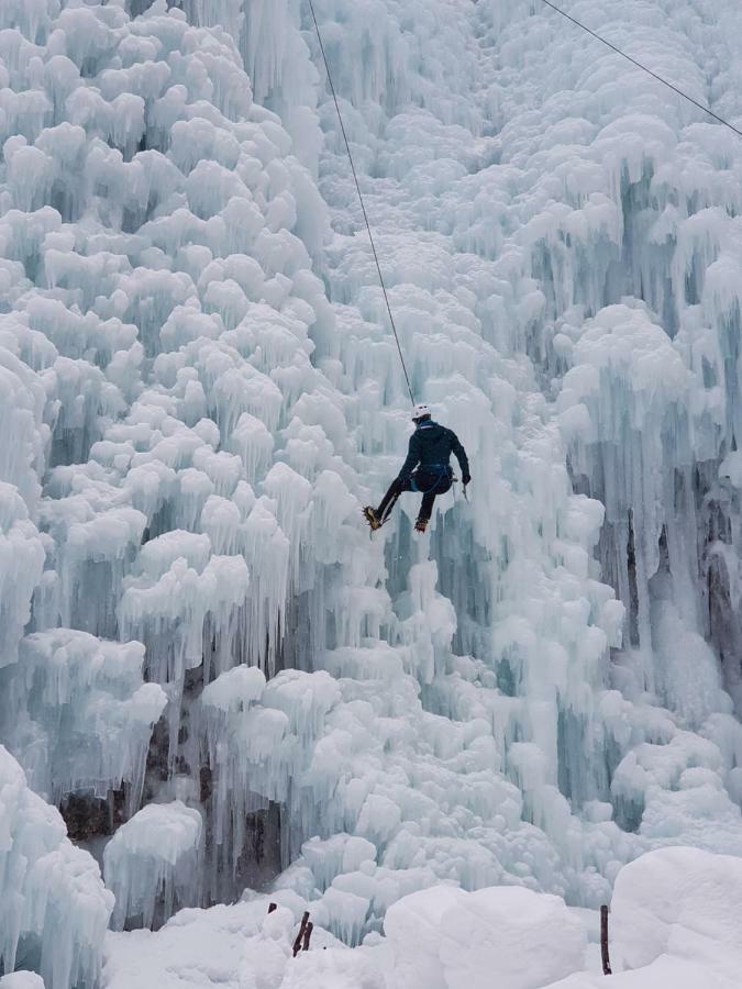 Yellow Apartma Kranjska Gora Lägenhet Exteriör bild